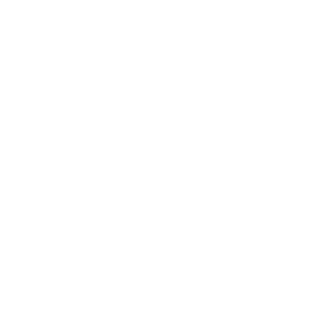 Early Birds - Partner des Mountaincamp Trailrunning Camps